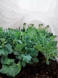 Summerweight Garden Fabric -Garden Tools Shop 32644 7936 tif