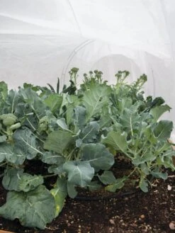 All-Purpose Garden Fabric -Garden Tools Shop 32646 7940 tif