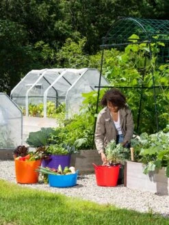 3-Season Plant Protection Tent, 3' X 6' 19 3-Season Plant Protection Tent, 3' X 6' -Garden Tools Shop 35 592 0181 1