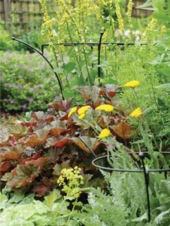 Essex Plant Supports -Garden Tools Shop 37423 280 tif