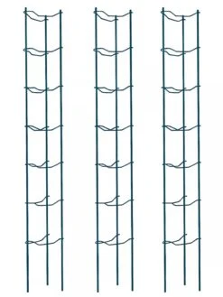 Tomato Ladders, Set Of 3 -Garden Tools Shop 38184 002E psd