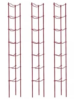 Tomato Ladders, Set Of 3 -Garden Tools Shop 38185 002E psd
