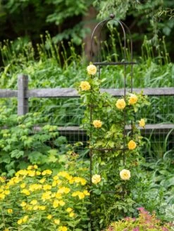 Jardin Round Obelisk, 7' 7 Jardin Round Obelisk, 7' -Garden Tools Shop 39 530 1668 tif