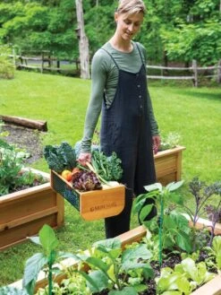 Garden Hods 9 Garden Hods -Garden Tools Shop 39 761 0146 tif