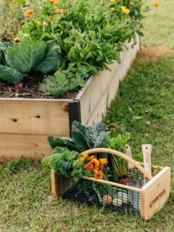 Garden Hods 8 Garden Hods -Garden Tools Shop 39 761 572 tif