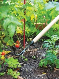 Gardener's Lifetime Long-Handled Double Tool -Garden Tools Shop 3 4 crop 8592107 2460 tif