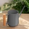 Pinpoint Indoor Watering Can