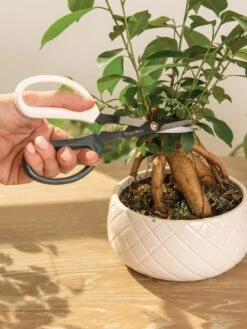 Japanese Pruning Scisssors 14 Japanese Pruning Scisssors -Garden Tools Shop 3 4 crop 8612968 0087