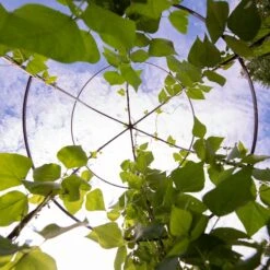 Jardin Tower -Garden Tools Shop 3 4 crop 8612997 0033