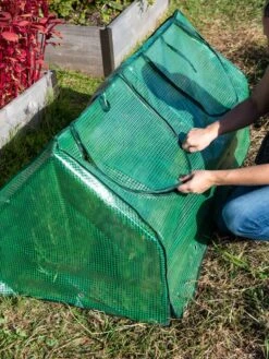 Multi Cloche -Garden Tools Shop 3 4 crop 8613213 0250