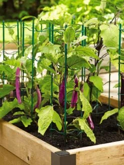 Pepper And Eggplant Stakes, Set Of 3 -Garden Tools Shop 40308 2116 tif