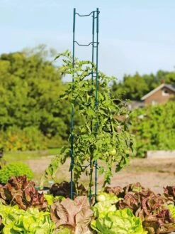 Stacking Tomato Ladders, Set Of 6 7 Stacking Tomato Ladders, Set Of 6 -Garden Tools Shop 40309 100 tif