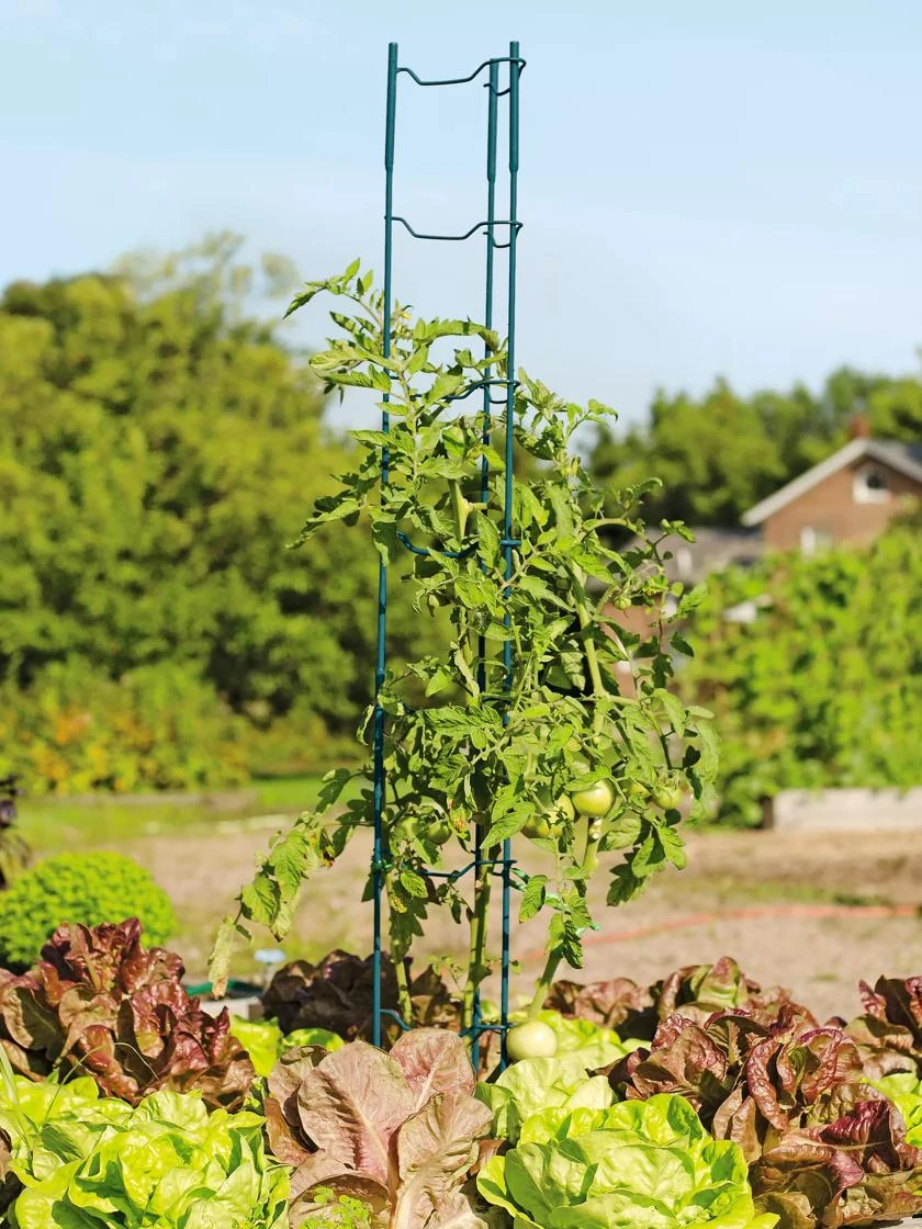 Stacking Tomato Ladders, Set Of 6 3 Stacking Tomato Ladders, Set Of 6 - Image 3