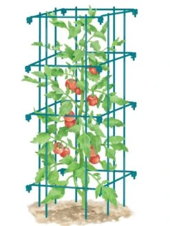 Tomato Cage, Single -Garden Tools Shop 8587039 TomatoCage BLUE tif