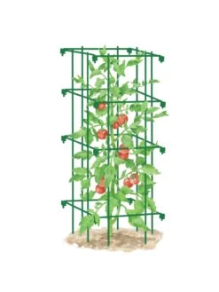 Tomato Cage, Single -Garden Tools Shop 8587039 TomatoCage GRN tif