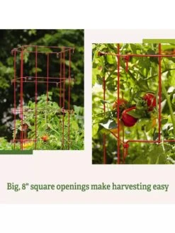 Tomato Cages, Set Of 4 13 Tomato Cages, Set Of 4 -Garden Tools Shop 8587040 2