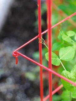 Tall Expandable Pea Trellis -Garden Tools Shop 8587061 010 tif