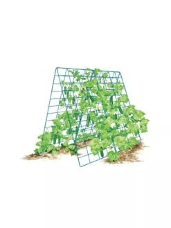 Deluxe Cucumber Trellis -Garden Tools Shop 8587083 001 BLUE Cukes two sided deluxe cucumber trellis support storm blue 3 4