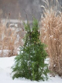 Jardin Pot Trellis -Garden Tools Shop 8587120 009 tif