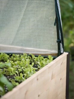 Protection Frame & Covers, 2' X 4' 8 Protection Frame & Covers, 2' X 4' -Garden Tools Shop 8587631 265 tif 1