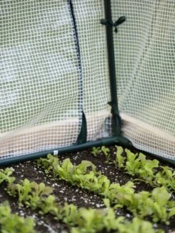 Protection Frame & Covers, 2' X 4' 10 Protection Frame & Covers, 2' X 4' -Garden Tools Shop 8587631 271 tif 1