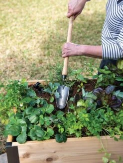 Gardener's Lifetime Raised Bed Trowel 5 Gardener's Lifetime Raised Bed Trowel -Garden Tools Shop 8588014 4084 tif