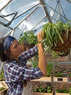 Canopia® By Palram Balance Greenhouse, 8' X 12' -Garden Tools Shop 8588023 07V jpg