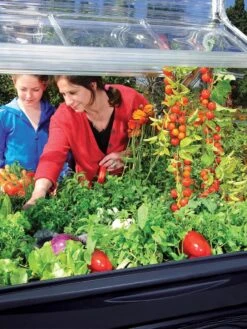 Canopia® By Palram Plant Inn™ Raised Bed Greenhouse, 4' X 4' 27 Canopia® By Palram Plant Inn™ Raised Bed Greenhouse, 4' X 4' -Garden Tools Shop 8588308 03V tif