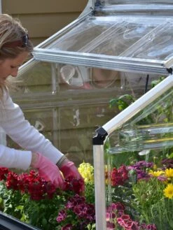 Canopia® By Palram Plant Inn™ Raised Bed Greenhouse, 4' X 4' 25 Canopia® By Palram Plant Inn™ Raised Bed Greenhouse, 4' X 4' -Garden Tools Shop 8588308 04V tif