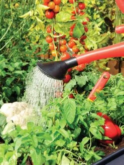 Canopia® By Palram Plant Inn™ Raised Bed Greenhouse, 4' X 4' 22 Canopia® By Palram Plant Inn™ Raised Bed Greenhouse, 4' X 4' -Garden Tools Shop 8588308 06V tif