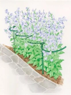 Tidy Path Supports -Garden Tools Shop 8588403 003 1