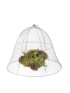 Chicken Wire Cloche -Garden Tools Shop 8590210 675 tif
