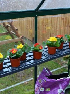 Canopia® By Palram Shelf Kit For Greenhouses, Set Of 2 Shelves -Garden Tools Shop 8591033 09V jpg