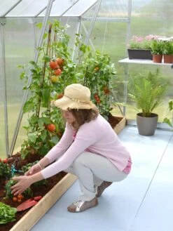 Canopia® By Palram Essence™ Greenhouse, 8' X 12' 16 Canopia® By Palram Essence™ Greenhouse, 8' X 12' -Garden Tools Shop 8591356 04V tif