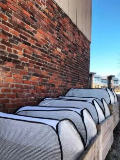 Row Shelter Accelerator -Garden Tools Shop 8591990 01IN tif