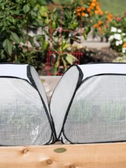 Row Shelter Accelerator -Garden Tools Shop 8591990 2199 tif