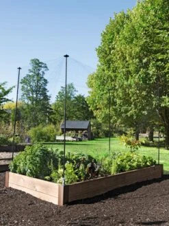 Protection Stakes For Netting, Set Of 4 8 Protection Stakes For Netting, Set Of 4 -Garden Tools Shop 8594434 0015 tif