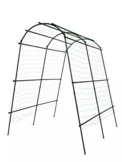 Titan Squash Tunnel -Garden Tools Shop 8596276 3992 tif