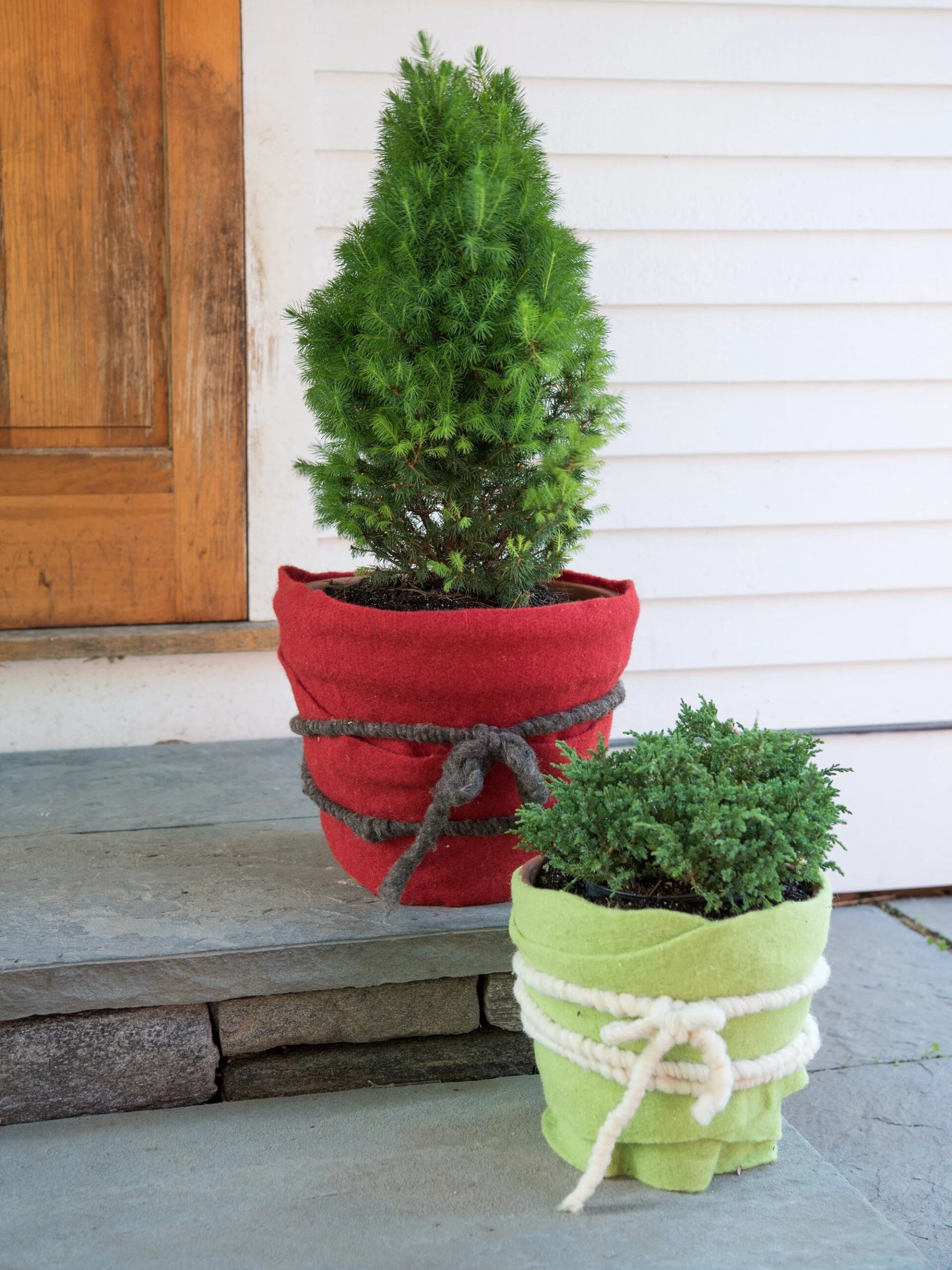 GardenWool® Plant Wrap 1 GardenWool® Plant Wrap