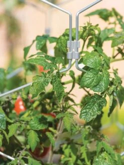 Gardener's Vertex Lifetime Tomato Cage 8 Gardener's Vertex Lifetime Tomato Cage -Garden Tools Shop 8598426 0011 tif
