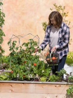 Gardener's Vertex Lifetime Tomato Cage 9 Gardener's Vertex Lifetime Tomato Cage -Garden Tools Shop 8598426 0026 tif