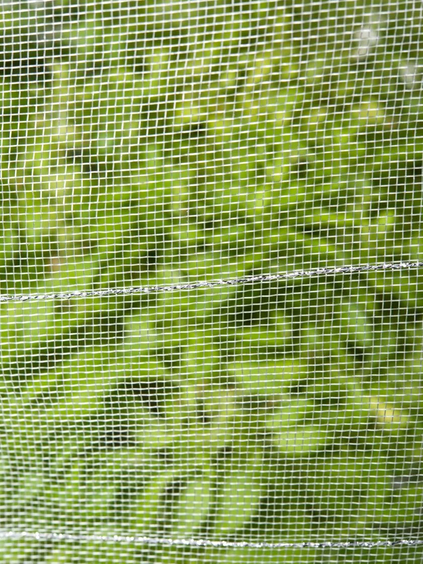 Insect Protection Tunnel 2 Insect Protection Tunnel - Image 2