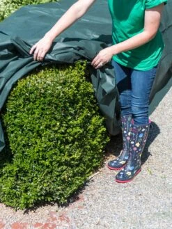 The Planket® Frost Protection Plant Cover, 10' X 20' -Garden Tools Shop 8599101 0929 tif