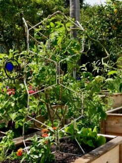 Gardener's Vertex Lifetime Pepper And Eggplant Cage 11 Gardener's Vertex Lifetime Pepper And Eggplant Cage -Garden Tools Shop 8599554 01CUST tif