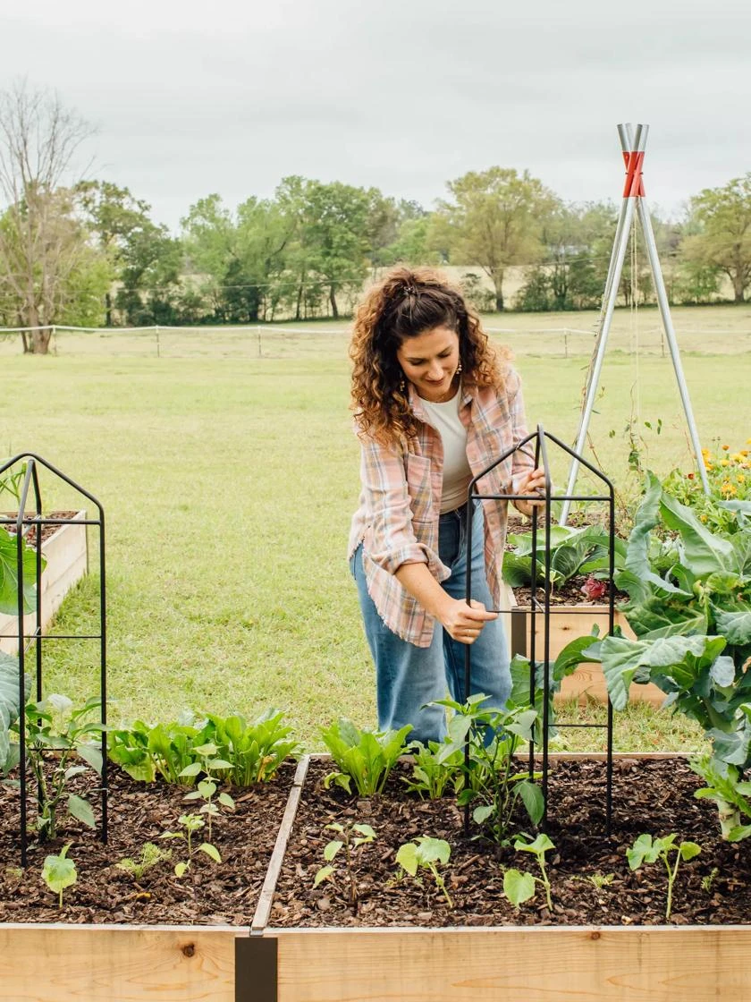 Zenith Folding Garden Supports, Set Of 2 5 Zenith Folding Garden Supports, Set Of 2 - Image 5