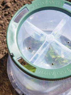 Sunny Forcing Cloches, Set Of 3 -Garden Tools Shop 8600075 0742 tif