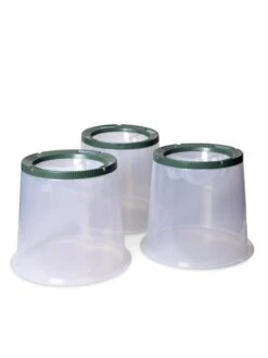 Sunny Forcing Cloches, Set Of 3 -Garden Tools Shop 8600075 24 tif