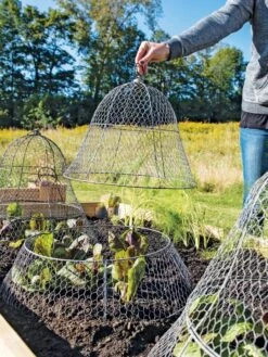 Chicken Wire Cloche With Extension 17 Chicken Wire Cloche With Extension -Garden Tools Shop 8600116 0604 3 4
