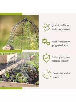 Chicken Wire Cloche With Extension 15 Chicken Wire Cloche With Extension -Garden Tools Shop 8600116 3