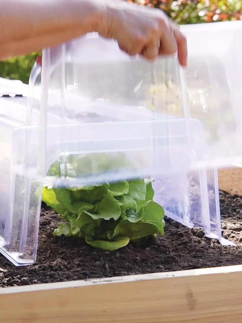 Cool Weather Row Cloche Ends, Set Of 2 2 Cool Weather Row Cloche Ends, Set Of 2 - Image 2